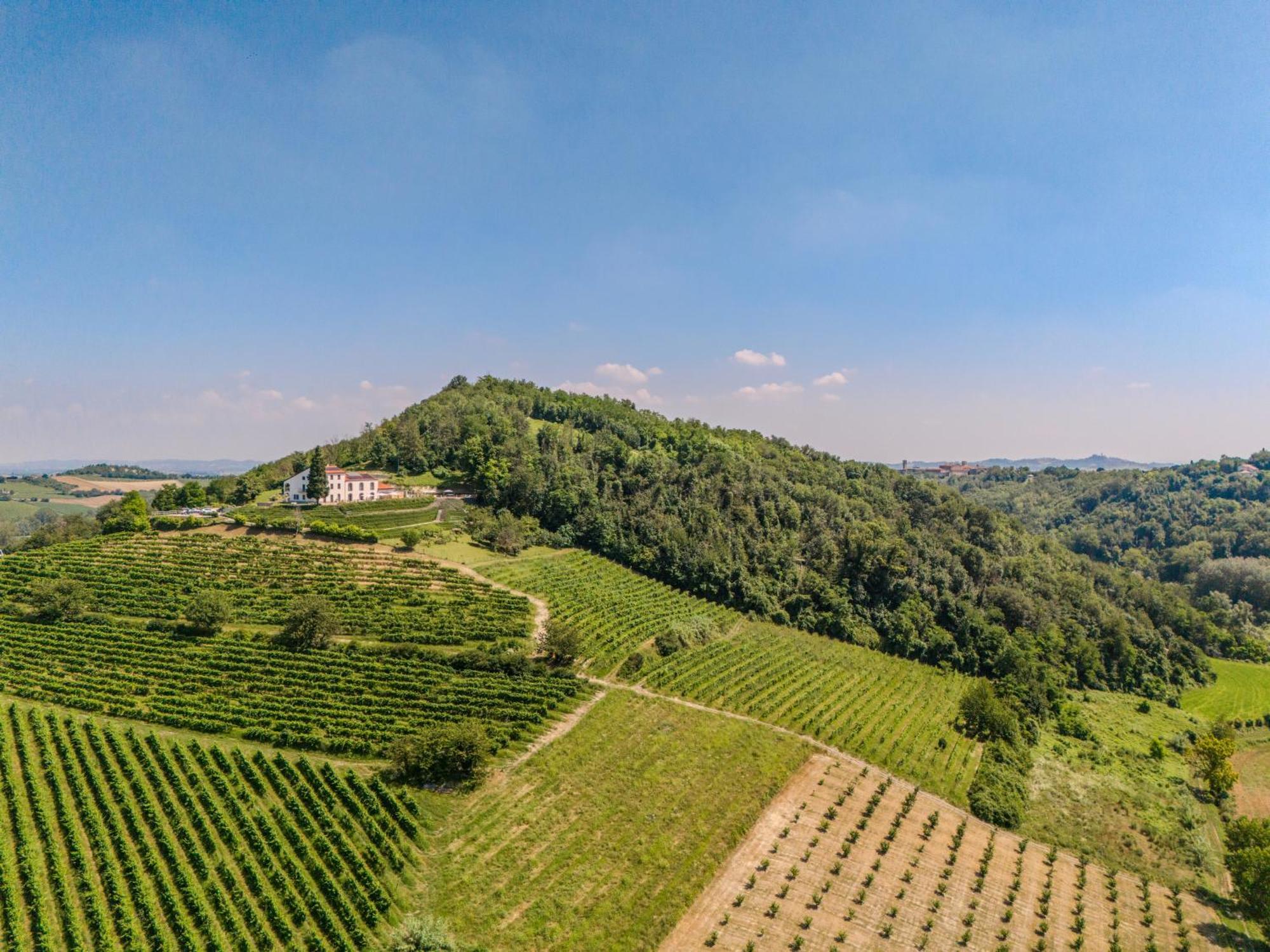 Villa Rocco Country House Ozzano Monferrato Exterior photo